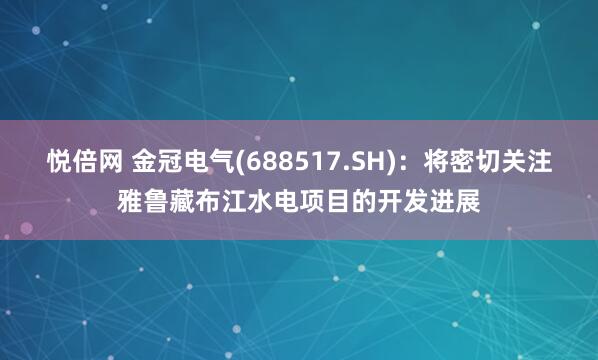 悦倍网 金冠电气(688517.SH)：将密切关注雅鲁藏布江水电项目的开发进展