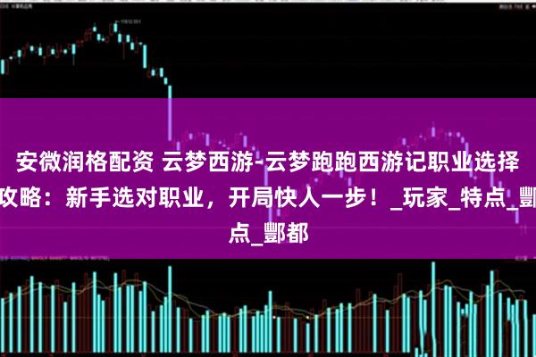 安微润格配资 云梦西游-云梦跑跑西游记职业选择全攻略：新手选对职业，开局快人一步！_玩家_特点_酆都